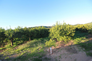 Fincas y solares-Venta-Sagunto-906246-Foto-10-Carrousel