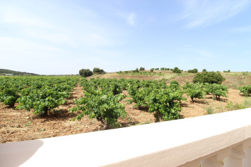 Casas o chalets-Venta-Utiel-2347481-Foto-51-Carrousel