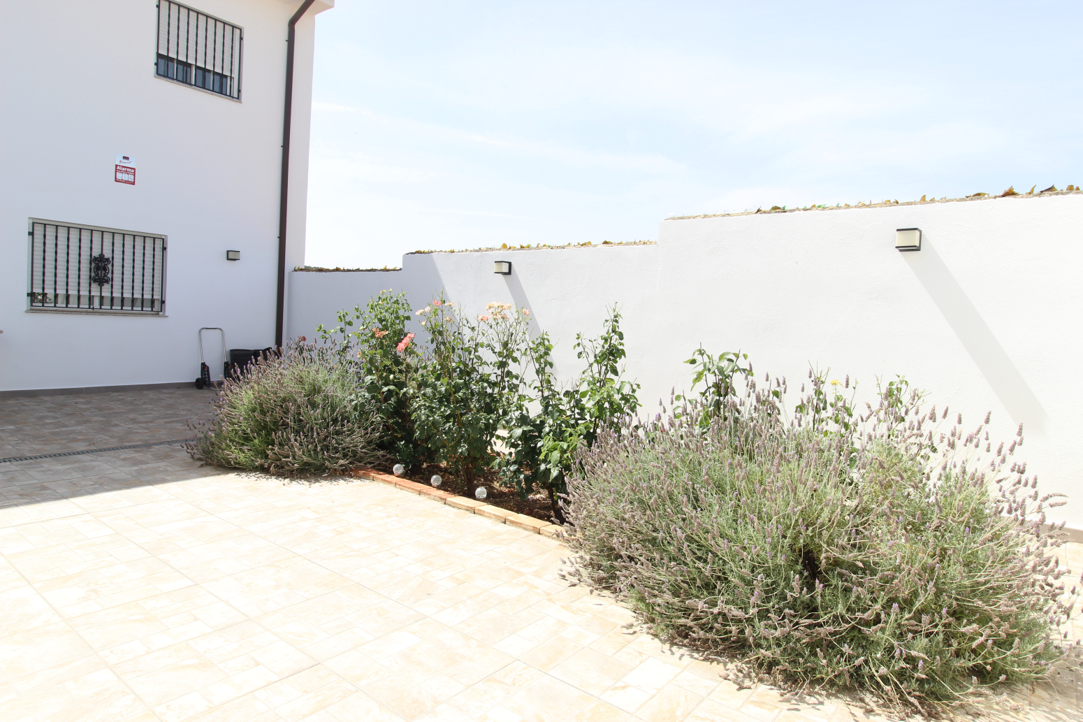 Casas o chalets-Venta-Utiel-2347481-Foto-48