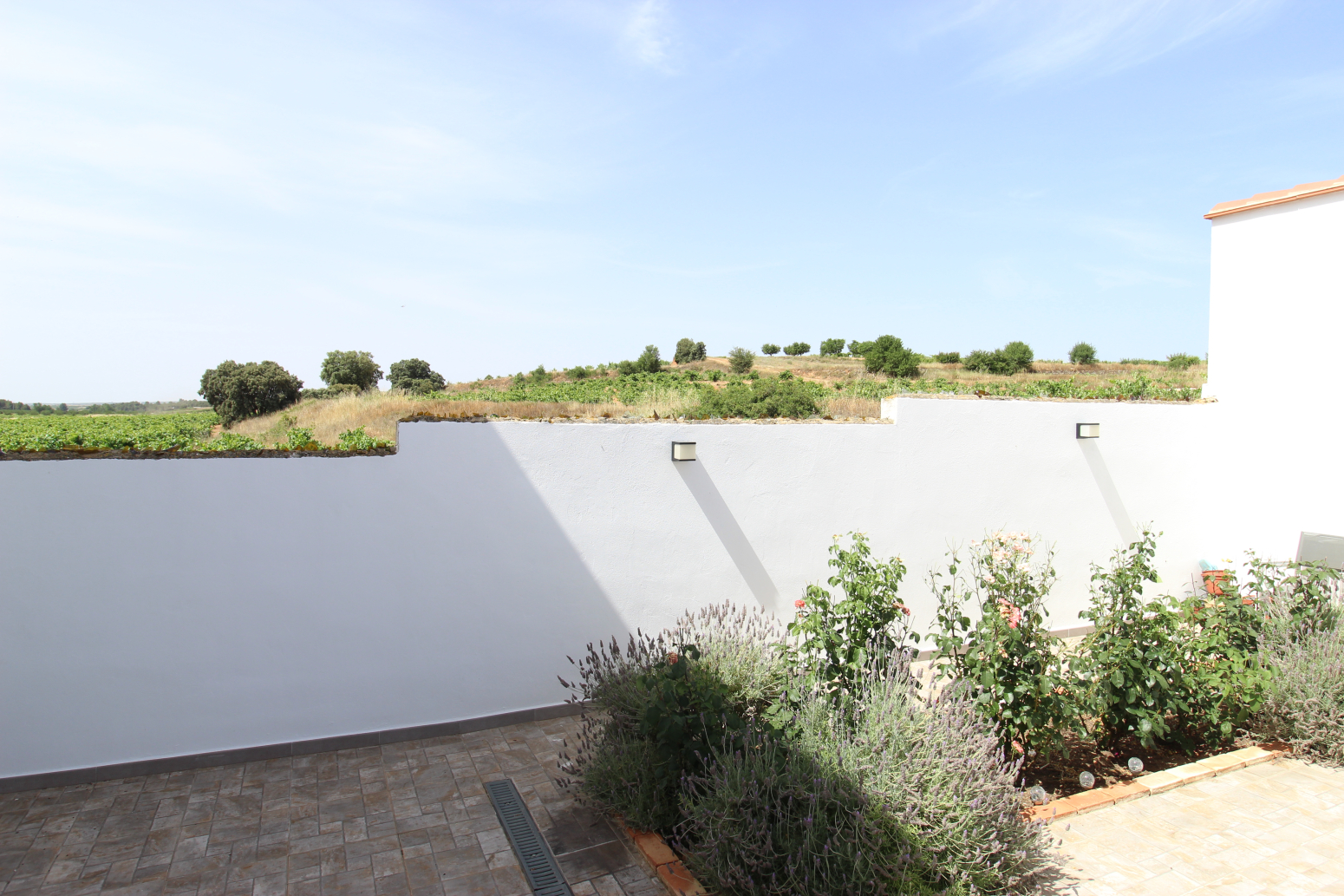 Casas o chalets-Venta-Utiel-2347481-Foto-49