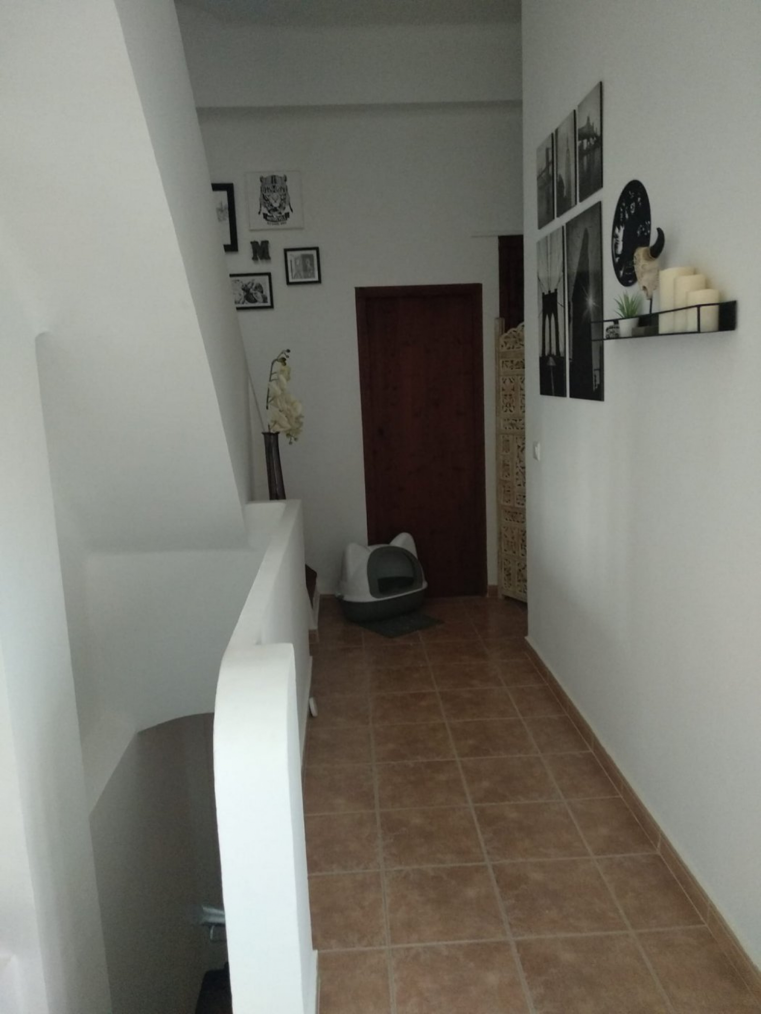 Casas o chalets-Venta-Alzira-879304-Foto-36