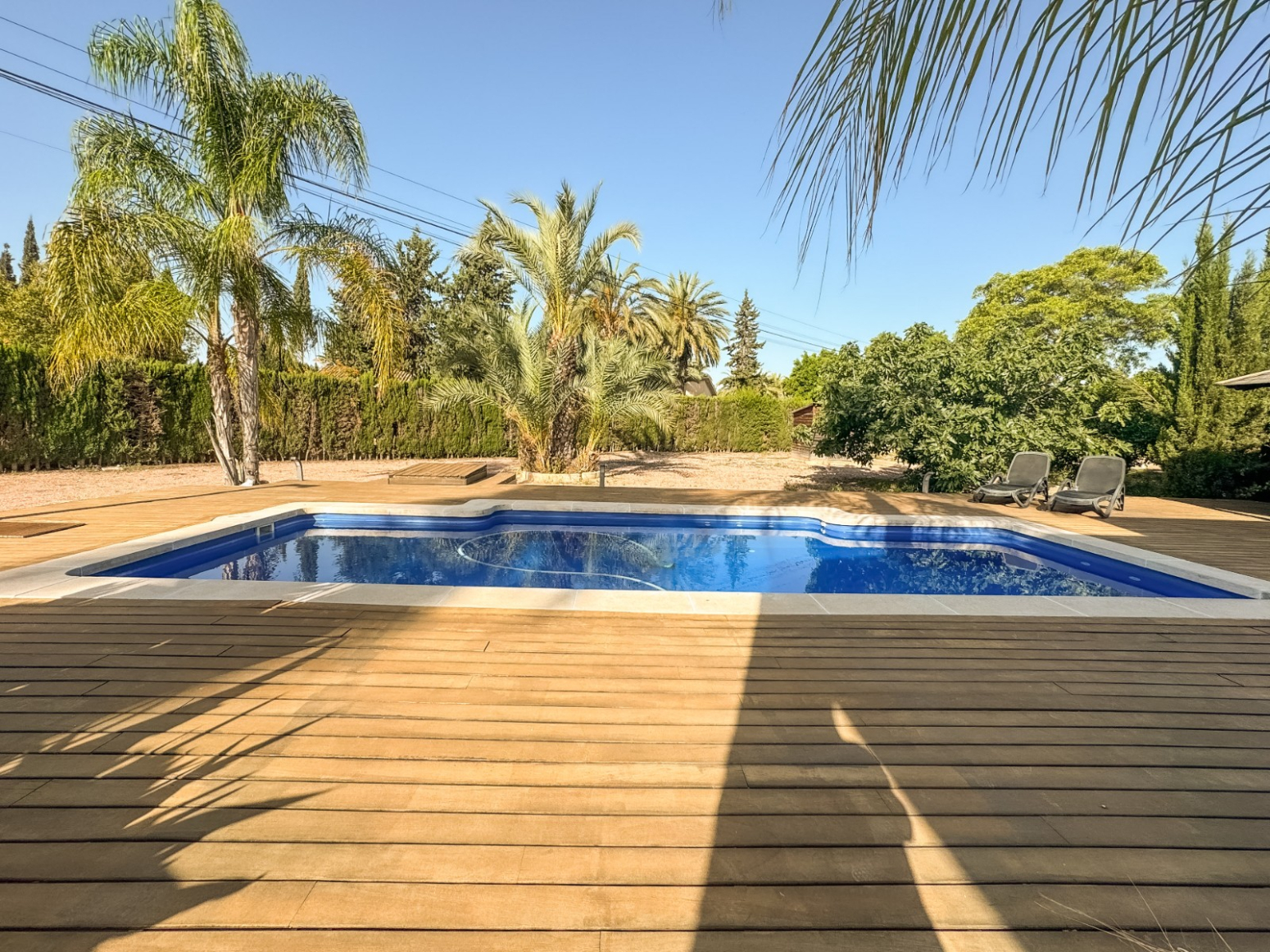 Casas o chalets-Venta-Elche-1299669-Foto-14