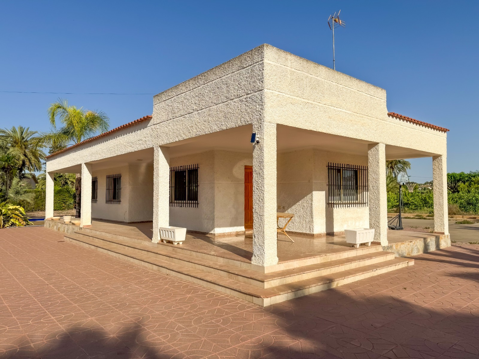 Casas o chalets-Venta-Elche-1299669-Foto-3