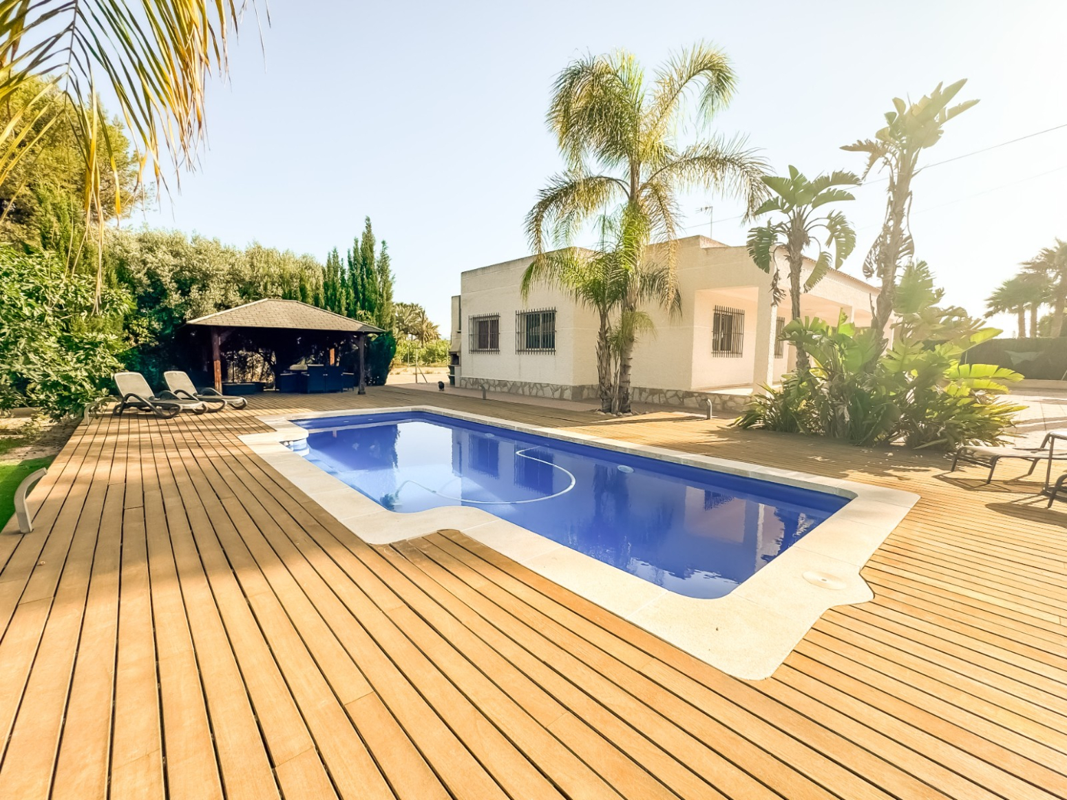 Casas o chalets-Venta-Elche-1299669-Foto-1