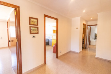 Casas o chalets-Venta-Elche-1299669-Foto-46-Carrousel