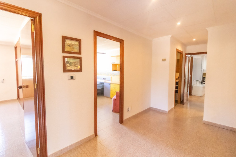 Casas o chalets-Venta-Elche-1299669-Foto-47