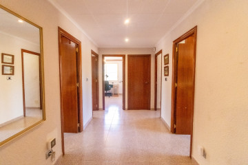 Casas o chalets-Venta-Elche-1299669-Foto-45-Carrousel