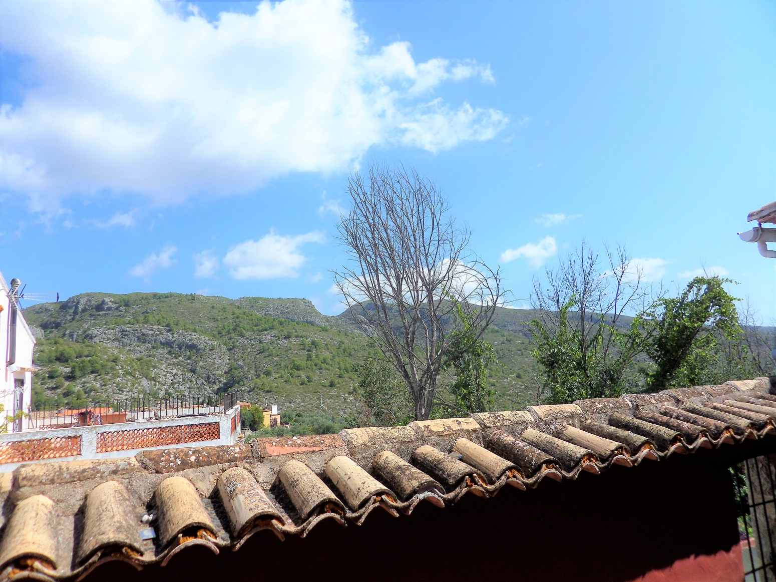 Casas o chalets-Venta-Vall de Gallinera-979676-Foto-80