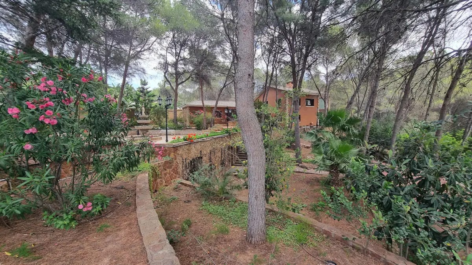 Casas o chalets-Venta-Sagunto-1410624-Foto-96