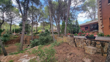 Casas o chalets-Venta-Sagunto-1410624-Foto-97-Carrousel