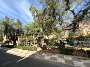 Casas o chalets-Venta-PuÃ§ol-1067156-Foto-7-Carrousel