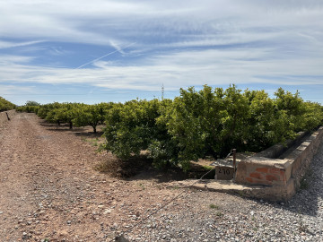 Fincas y solares-Venta-Puig-1088933