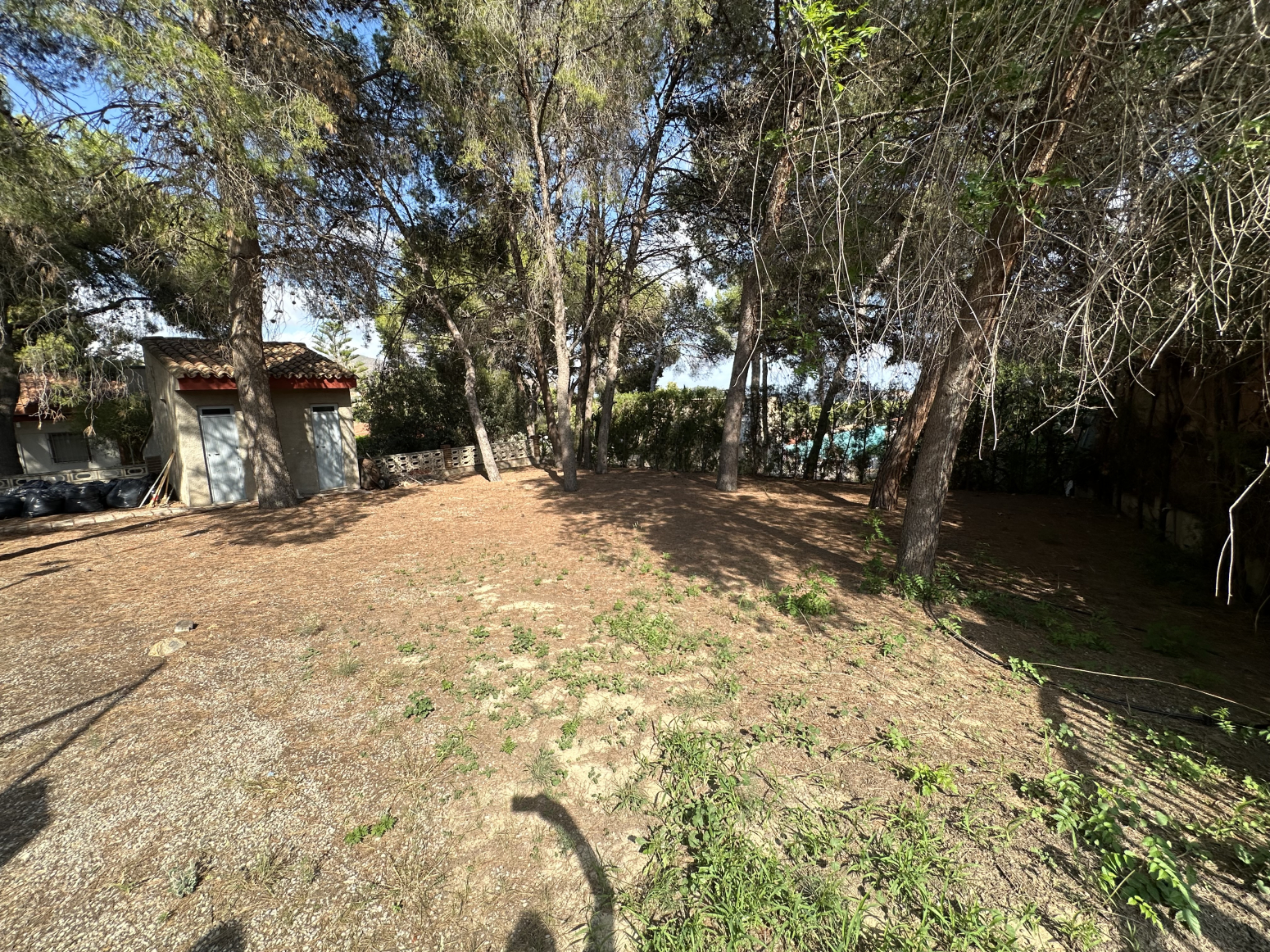 Casas o chalets-Venta-Albalat dels Tarongers-1318078-Foto-5