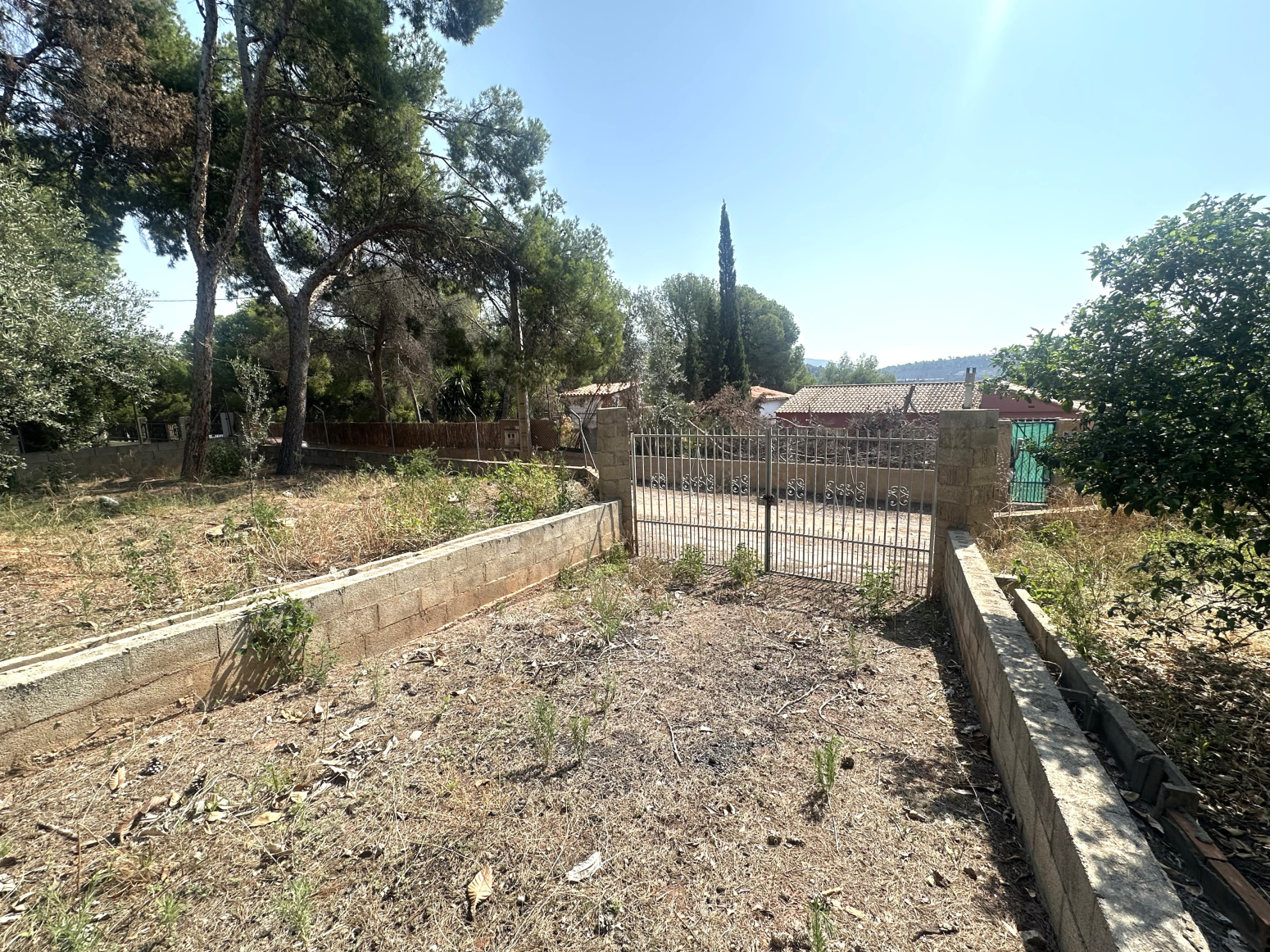 Casas o chalets-Venta-Albalat dels Tarongers-1883723-Foto-44