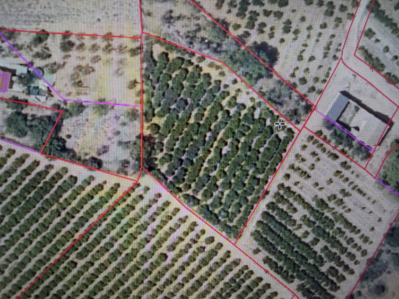 Fincas y solares-Venta-El Puig-2364347-Foto-1