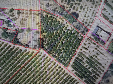 Fincas y solares-Venta-El Puig-2364347