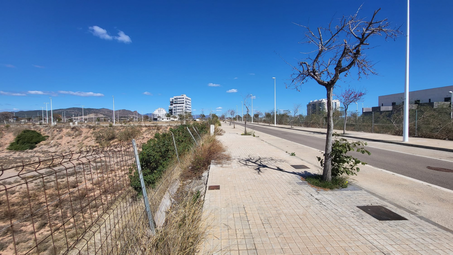 Fincas y solares-Venta-Sagunto-1102848-Foto-8