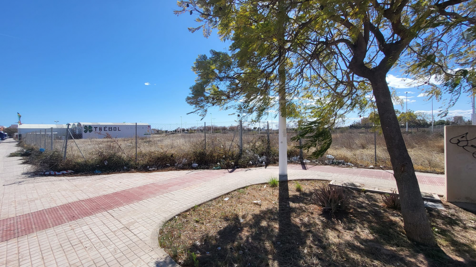 Fincas y solares-Venta-Sagunto-1109387-Foto-6