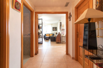 Casas o chalets-Venta-PuÃ§ol-1440972-Foto-10-Carrousel