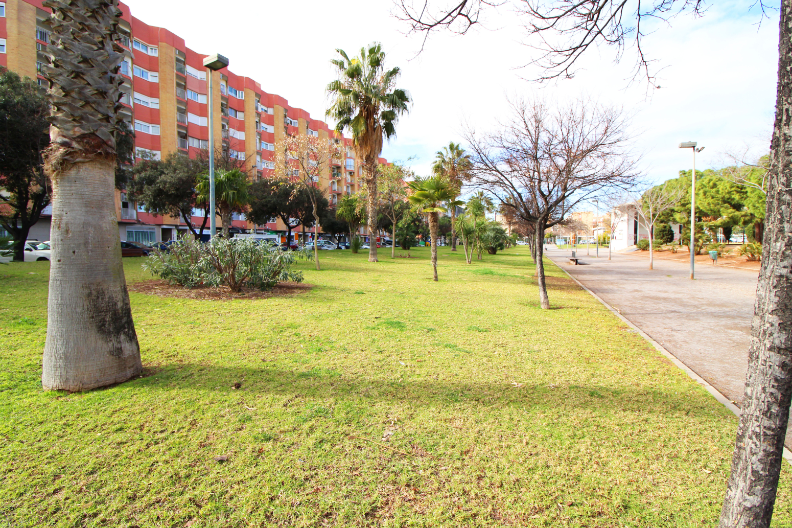 Pisos-Venta-Sagunto-1537901-Foto-43