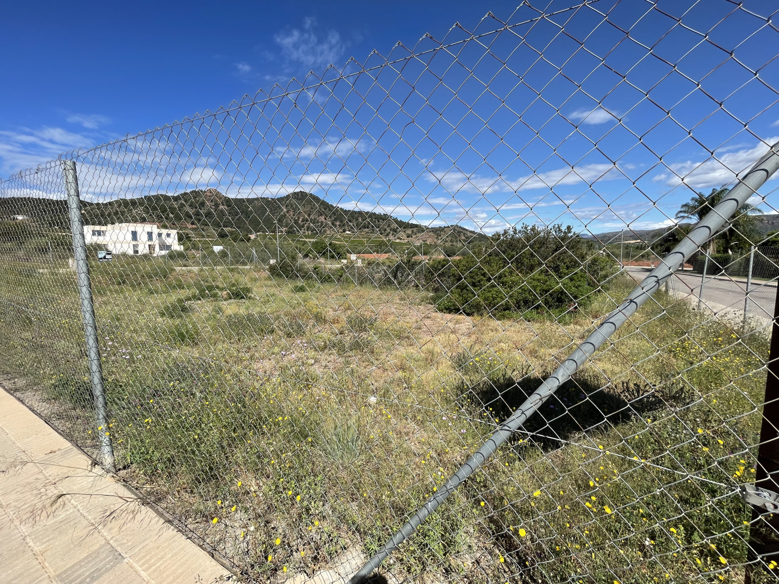 Fincas y solares-Venta-BenifairÃ³ de les Valls-1720463-Foto-6