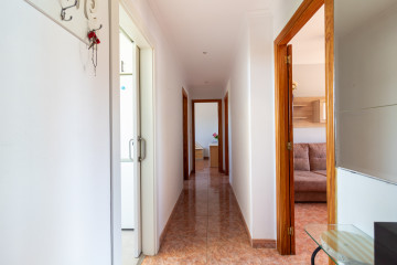 Pisos-Venta-DÃ©nia-2291608-Foto-6-Carrousel