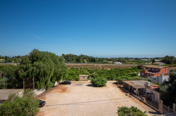 Pisos-Venta-DÃ©nia-2291608-Foto-23-Carrousel
