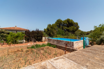 Casas o chalets-Venta-Albalat dels Tarongers-2352976-Foto-20-Carrousel