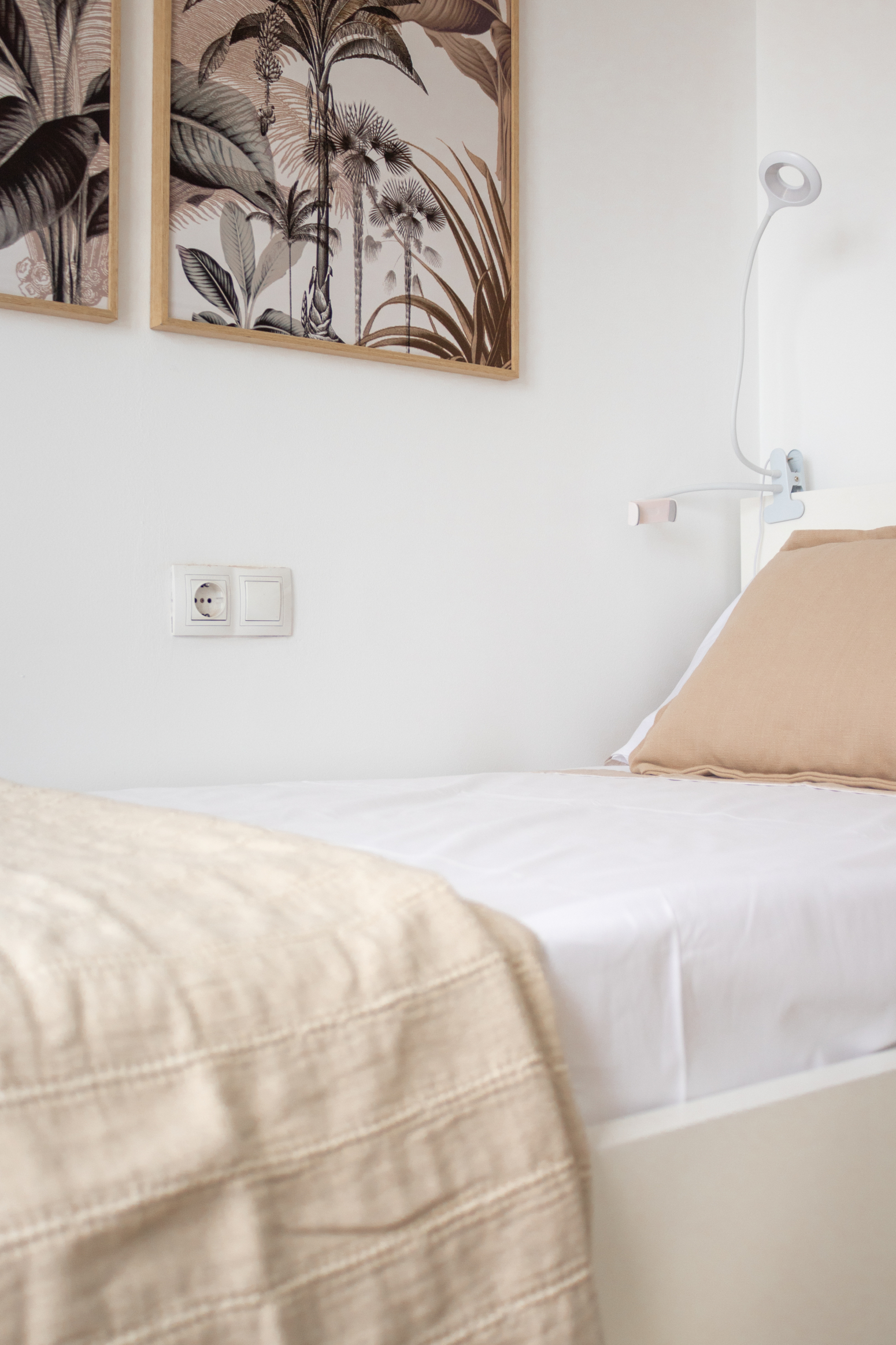 Casas o chalets-Alquiler-Sagunto-2354414-Foto-30