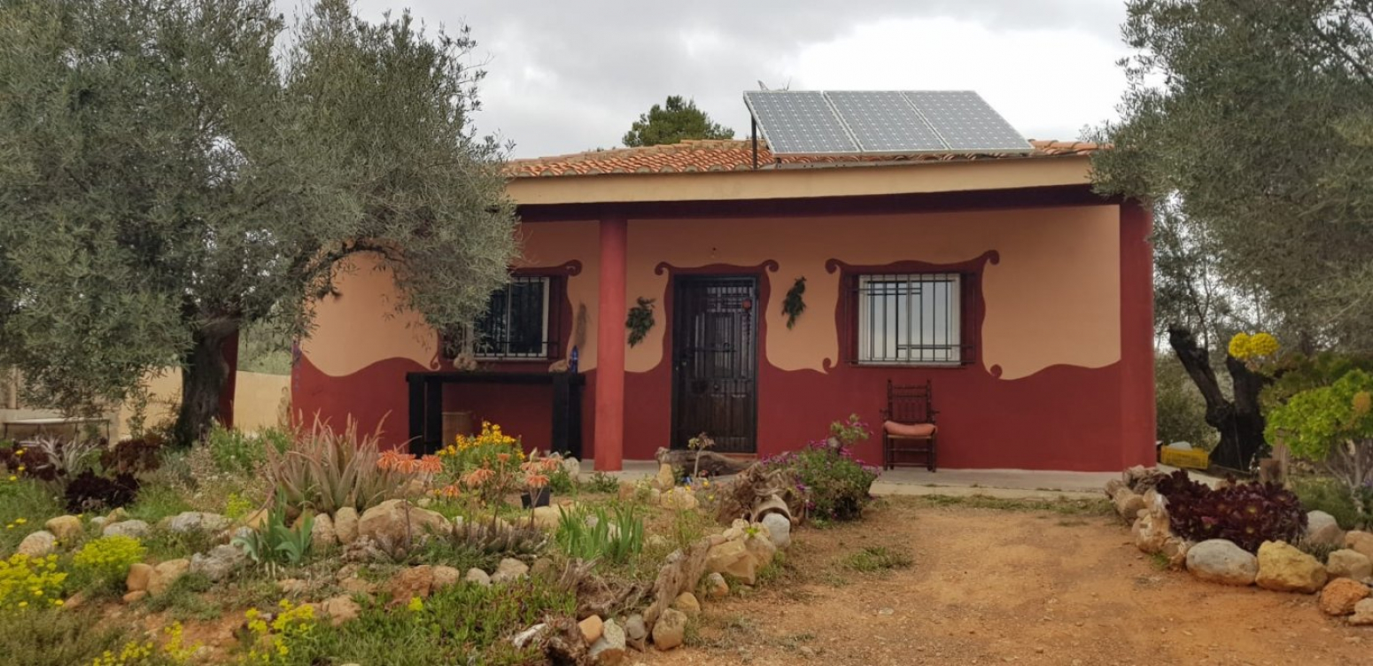 Casas o chalets-Venta-JÃ©rica-994879-Foto-5