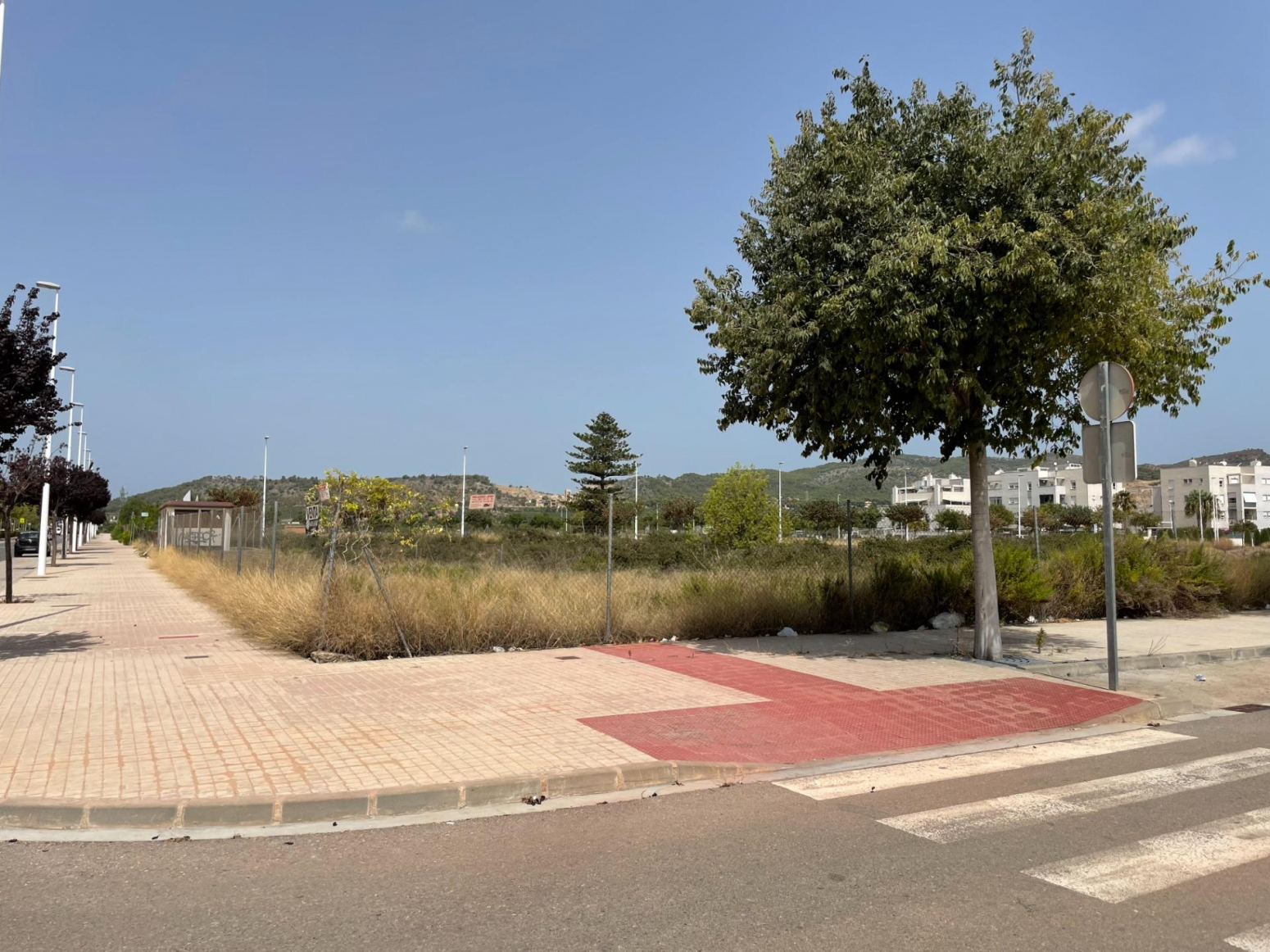 Fincas y solares-Venta-Sagunto-995283-Foto-3