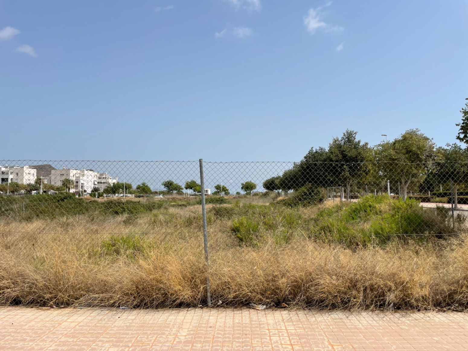 Fincas y solares-Venta-Sagunto-995283-Foto-2