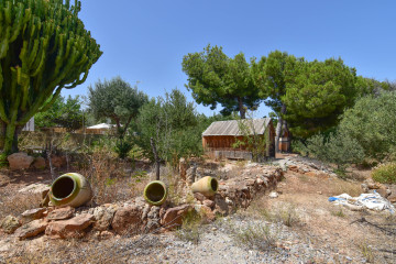 Casas o chalets-Venta-Albalat dels Tarongers-2364308-Foto-50-Carrousel