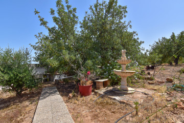 Casas o chalets-Venta-Albalat dels Tarongers-2364308-Foto-48-Carrousel