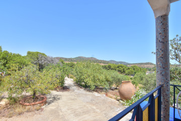 Casas o chalets-Venta-Albalat dels Tarongers-2364308-Foto-41-Carrousel