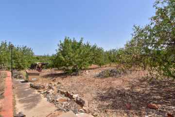 Casas o chalets-Venta-Albalat dels Tarongers-2364308-Foto-47-Carrousel