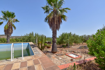 Casas o chalets-Venta-Albalat dels Tarongers-2364308-Foto-8-Carrousel