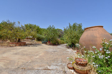 Casas o chalets-Venta-Albalat dels Tarongers-2364308-Foto-46-Carrousel