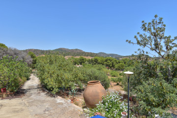Casas o chalets-Venta-Albalat dels Tarongers-2364308-Foto-43-Carrousel