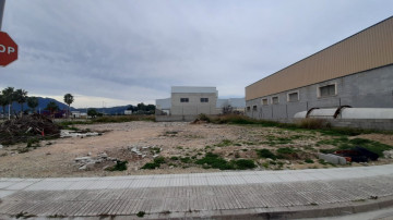 Fincas y solares-Venta-BeniflÃ¡-921004-Foto-7-Carrousel