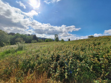 Vistas desde finca