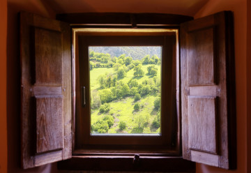 Detalle de la ventana 