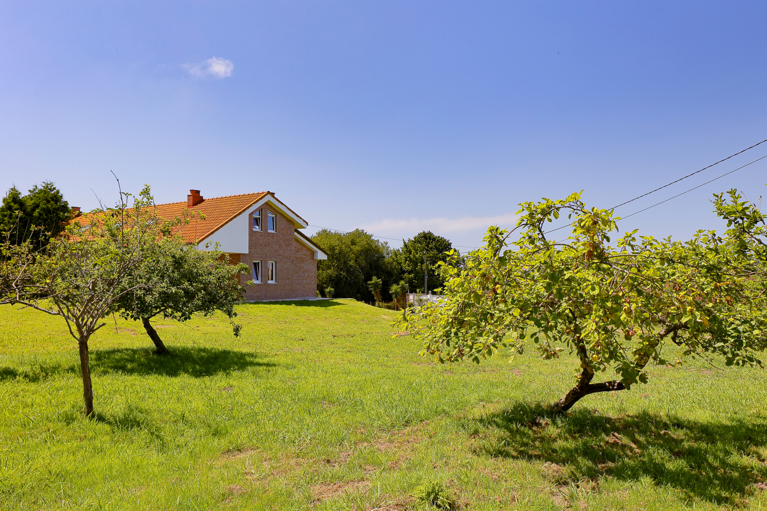 Casas o chalets-Venta-GijÃ³n-1385976-Foto-50