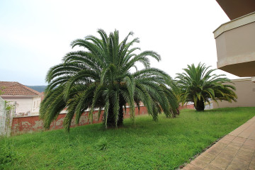 Jardin-Urbanización