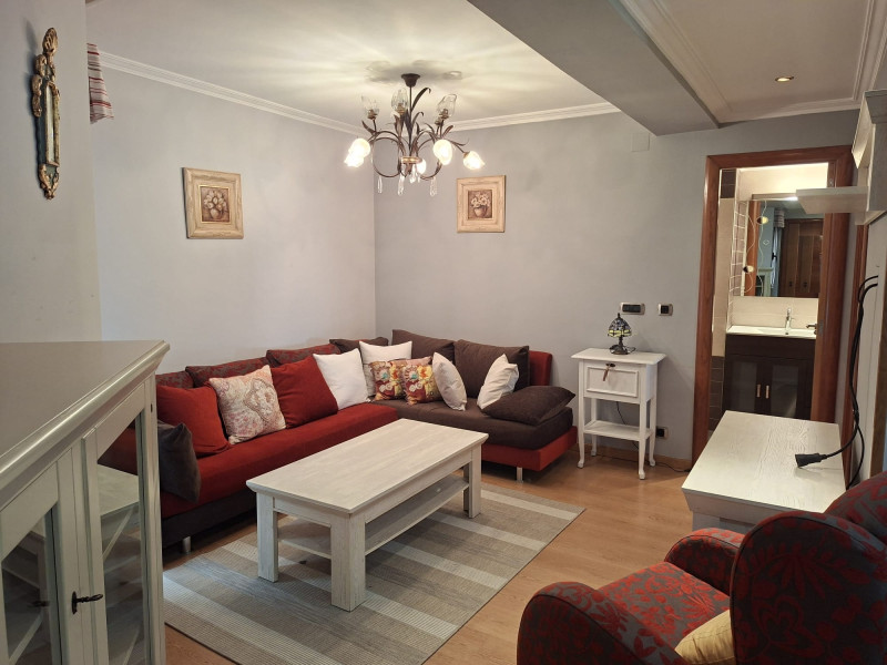 ALQUILER APARTAMENTO AMUEBLADO. ZONA CAMPOS. GIJ�N. ASCENSOR.