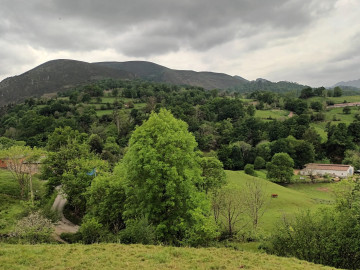 Casas o chalets-Venta-PiloÃ±a-2335005-Foto-2-Carrousel