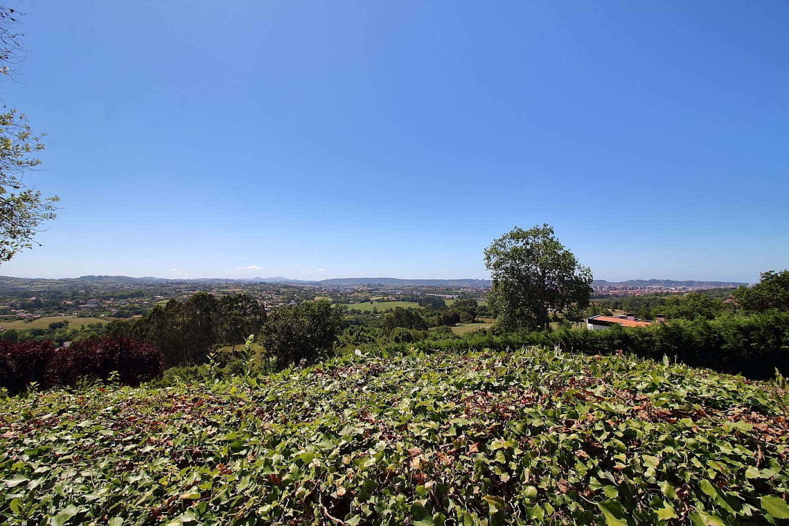 Vistas a la montaña