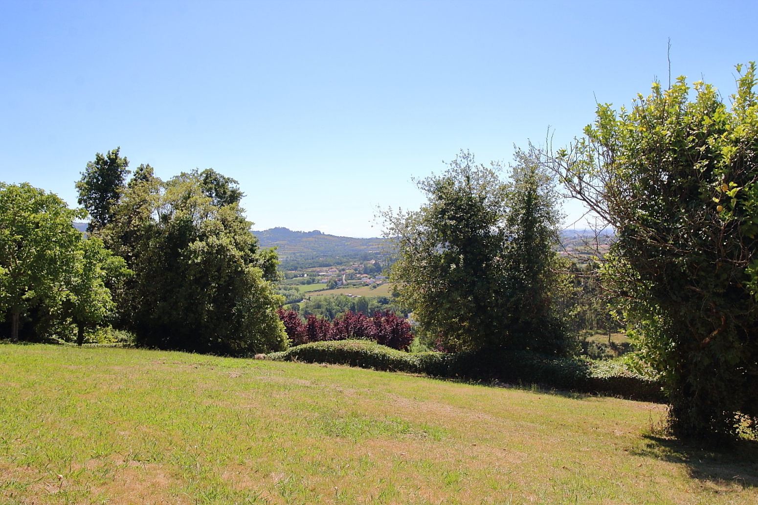Vistas
