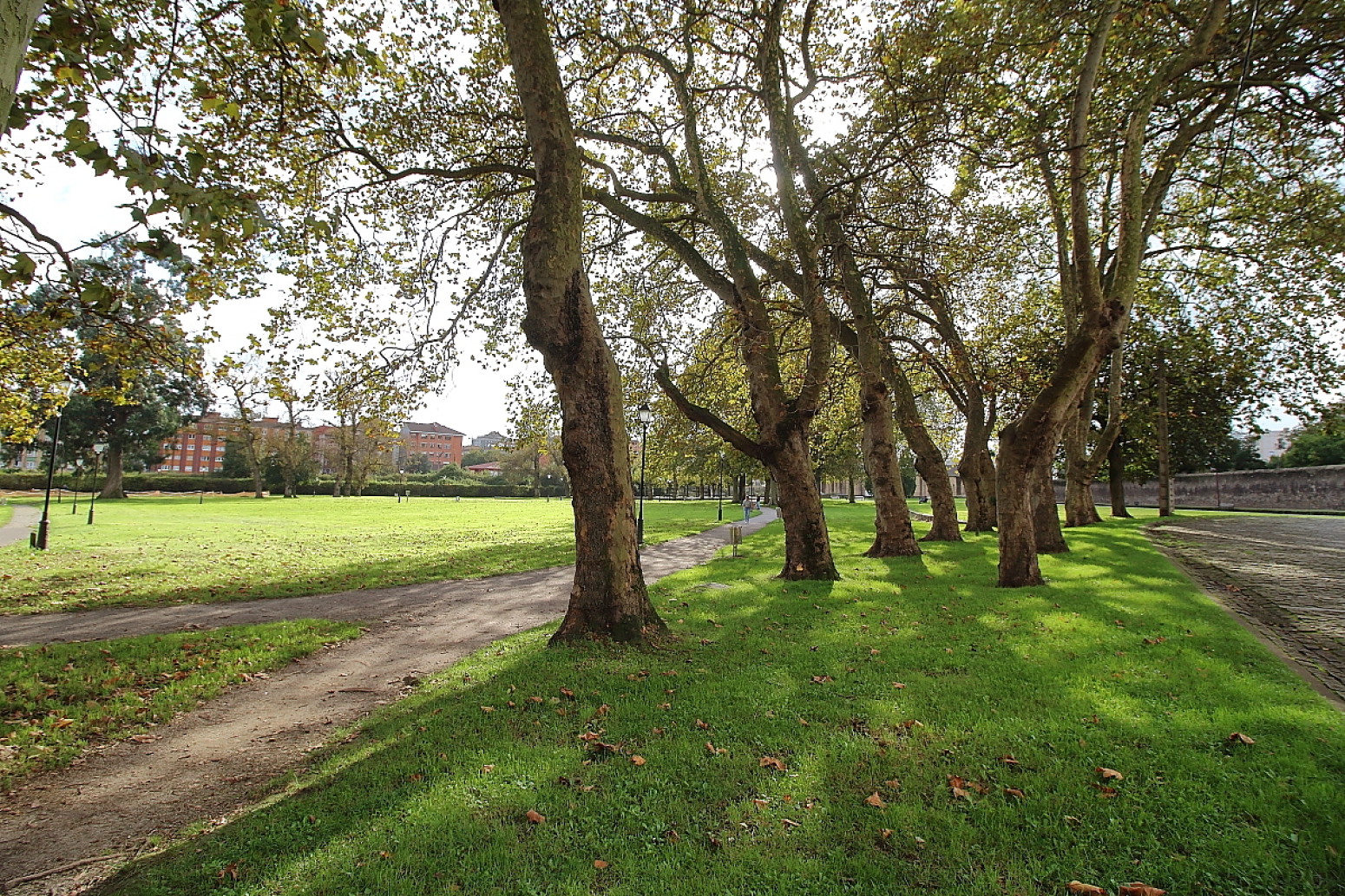parque alrededores