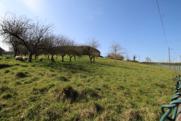 Fincas y solares-Venta-GijÃ³n-522954-Foto-6-Carrousel